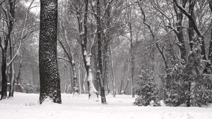 冬季公园下雪14秒视频