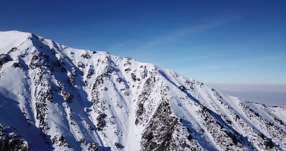 高雪山,树苗生长在荒原上视频