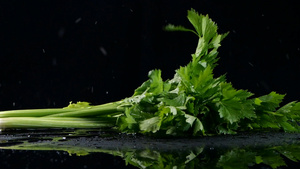 升格芹菜新鲜蔬菜绿叶蔬菜20秒视频