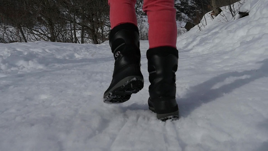 在雪中行走视频