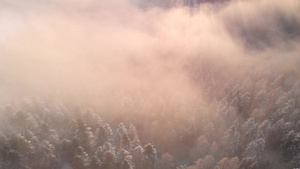 冬天在雪林上日出50秒视频