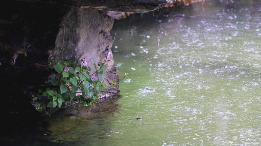 雨水池塘水波水中涟漪视频