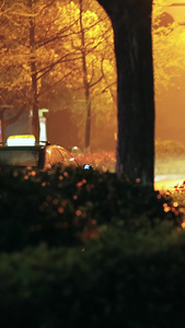 雨夜好看的街道送外卖的小哥外卖小哥视频