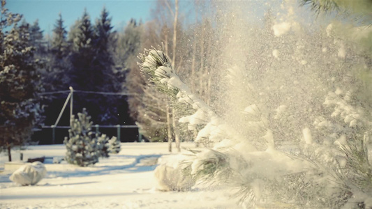 在冬天下着美丽的雪视频