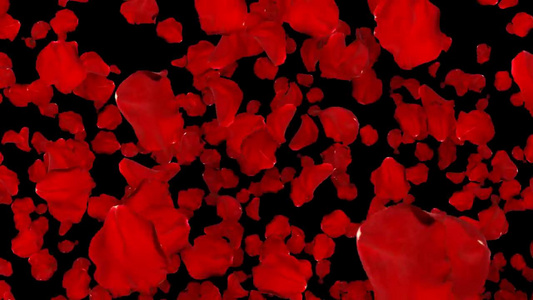 玫瑰花通道情人节背景视频视频