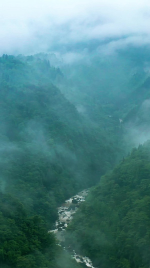 航拍峨眉山云雾缭绕河流美景55秒视频