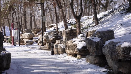 落雪假山石岩石圆明园雪景视频