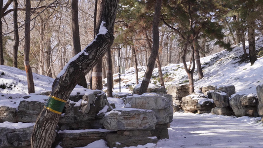 落雪假山石岩石圆明园雪景视频