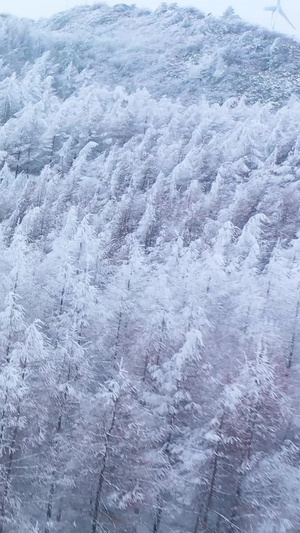 航拍唯美雪景松树白雪弥漫银装素裹雪山森林惟余莽莽37秒视频