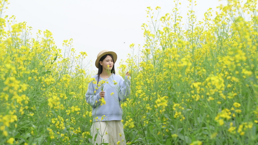 油菜花花海中的少女视频