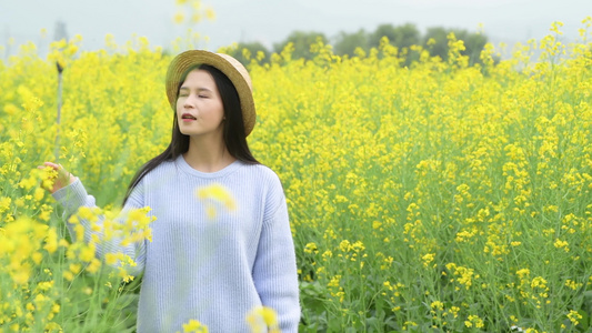 油菜花花海中的少女视频