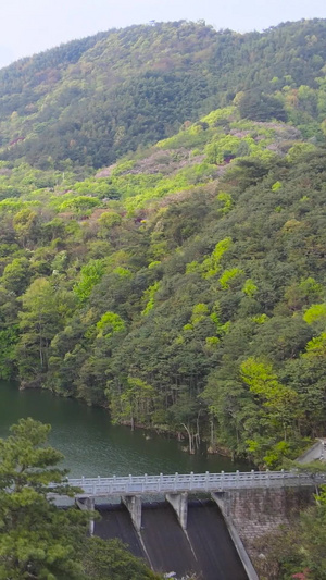 宁波奉化溪口雪窦山山路沿路航拍5A景区105秒视频