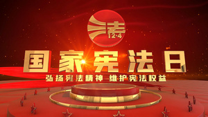 震撼大气三维国家宪法日片头开场19秒视频