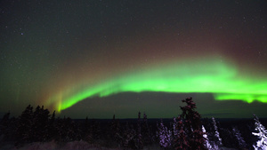 美国阿拉斯加北极光延时航拍美丽夜空星云延时30秒视频