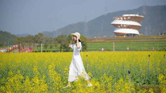 油菜花花海中散步的少女4K视频