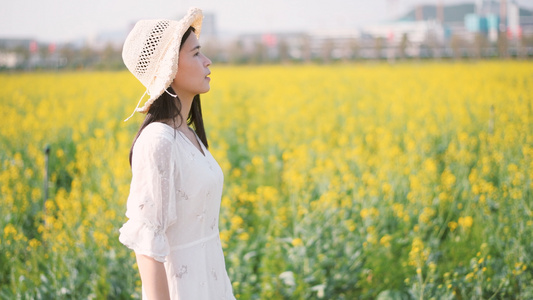 油菜花花海中散步的少女4K视频