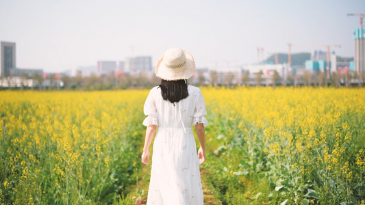 油菜花花海中少女的背影4K视频