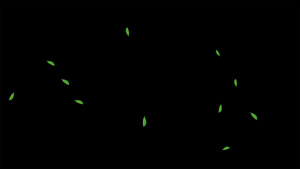 绿叶飘落元素带透明度通道15秒视频