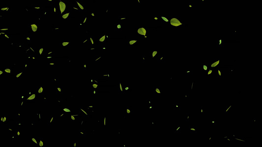 绿色树叶飘落视频素材视频