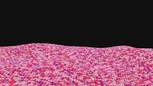 粉色花海飘动15秒视频