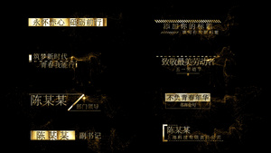 鎏金字幕条包装80秒视频