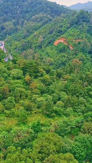 广西青山绿水旅游景区航拍航拍中国11秒视频