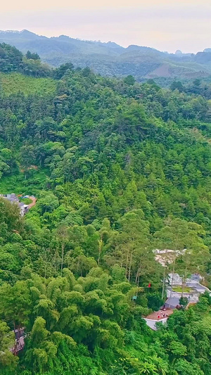 广西青山绿水旅游景区航拍德天瀑布11秒视频
