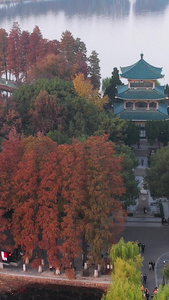 航拍城市秋天季节自然风光公园绿道湖景素材季节素材视频