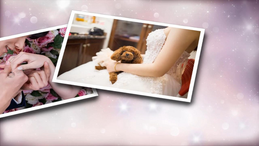 温馨浪漫婚礼婚庆图片展示相册会声会影x10模板视频