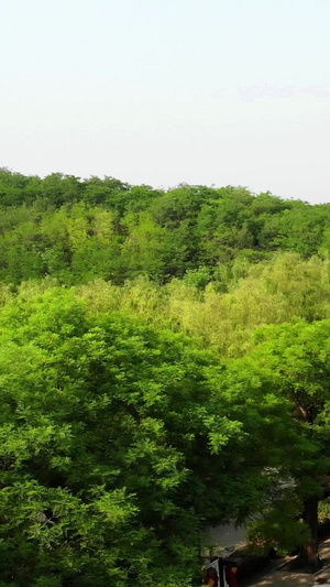 航拍中华槐园风景区全景69秒视频