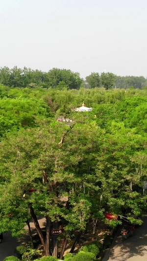 航拍中华槐园风景区全景69秒视频