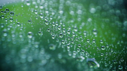 高清唯美微距雨滴雨水升格视频