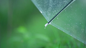 高清唯美下雨天雨滴滑落空镜头 47秒视频