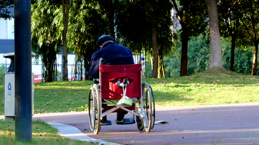 4K轮椅老人公园老人背影孤寡老人视频