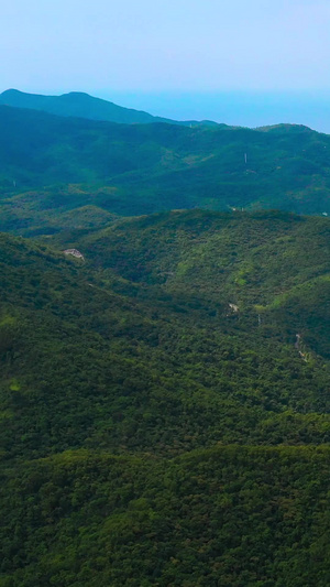 深圳南澳海边大山山林航拍树林森林31秒视频