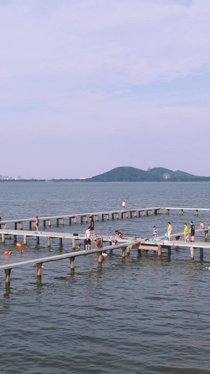 航拍城市风光夏天湖中游泳消暑的人群素材城市素材59秒视频