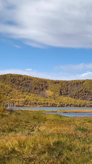 内蒙古草原湿地秋季景色实拍视频内蒙古旅游30秒视频