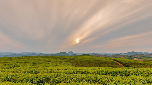 延时茶山日落夕阳视频