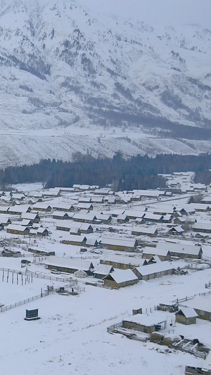 冬日雪景新疆喀纳斯景区禾木村白桦林37秒视频