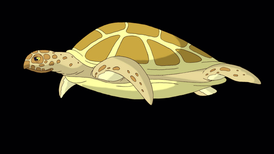 黄色海龟在水下游泳视频