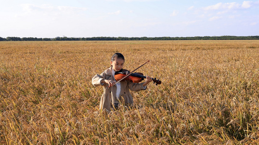 年轻的小女孩在稻田上演奏小提琴视频