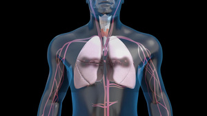 三维人体肺部感染示意视频20秒视频
