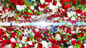 4K唯美的玫瑰背景素材30秒视频