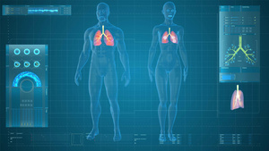 4K科技三维男女肺部分析展示30秒视频