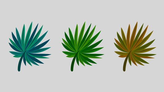 单片植物叶子生长视频