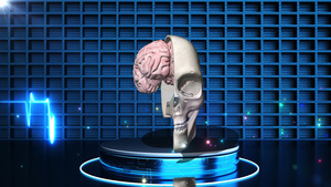 4K人类大脑解刨展示背景30秒视频