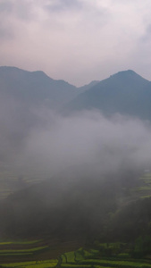 云雾缭绕在山间油菜花视频