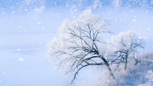 雪花风景背景视频视频