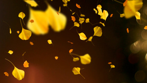 银杏叶洒落黄色秋天背景25秒视频