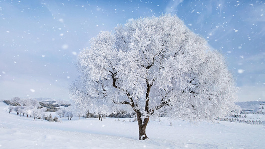 冬季雪景视频素材视频